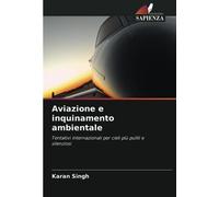 Aviazione e inquinamento ambientale: Tentativi internazionali per cieli più puliti e silenziosi