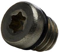 AVID Kit TORNILLO/TORICA DE PURGADO SRAM INOXIDAB (20U)