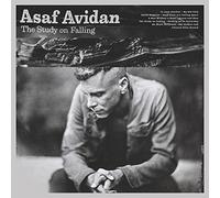 Avidan Asaf - The Study Of Falling