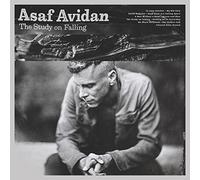 Avidan Asaf - The Study On Falling