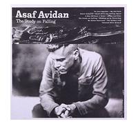 Avidan Asaf - The Study On Falling