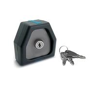 Avidsen 104258 - Comando a chiave per motorizzazione cancello con 2 accesso con la stessa chiave, colore: Grigio, compatibile con Avidsen