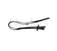 AviemoreContinental Pelle Testiera per Cavallo (ER644)