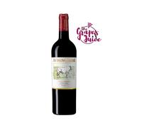 AVIGNONESI DESIDERIO 2021 VINO ROSSO BIO MERLOT TOSCANA IGT