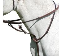 AvignonPelle Martingala da Corsa per Cavallo (ER341)