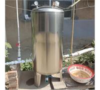 AviiSo Bidone Acqua Serbatoio a pressione per acqua di pozzo in acciaio inossidabile 300 250 200 160 100 60 litri, Contenitori per acqua autopressurizzati da giardino con kit completo(95x50cm/37. 4X19