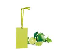 Avilia Carta Profumata per Armadi e Casetti con Odore di Mojito, Fiori di Campo e Vaniglia - Ideale per Mantenere i tuoi Capi Freschi e Profumati o Anche per Piccoli Ambienti e Auto - Biodegradabili