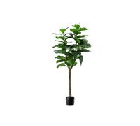 Avilia Ficus Lyrata Artificiale in Polietilene con 21 Foglie, 75 cm, Vaso con Muschio, Pianta Decorativa Alta da Interni per Soggiorno e Appartamento, Pianta Artificiale da Interno Realistica