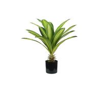Avilia Pianta di Dracaena Finta in Polietilene 60 cm con 19 Foglie- Decorazione per Interni Realistiche con Design Moderno, Ideale per Arredo Interno e Decorazioni