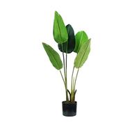 Avilia Pianta di Strelitzia Artificiale con 5 Foglie, 100 cm, Vaso con Muschio Naturale, Perfetta per Ambienti Interni, Pianta Finta Alta da Interno