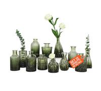 Avilia - Set 12 Vasi in Vetro Assortiti, vasi per piante da interno per Decorazioni Floreali e Centrotavola, Design Elegante con Forme Diverse, Ideali per Fiori Freschi, Secchi o Artificiali
