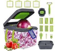 Avilia Taglia Verdure Multifunzione con 10 Lame Intercambiabili - Affettaverdure e Mandolina con Contenitore Integrato - Taglia Patate e Julienne con Protezione per Mani