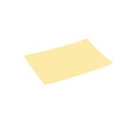 Avilia Tovaglietta Americana in Tessuto Sintetico Intrecciato 45x32cm - Elegante e Resistente, Colore Vaniglia per Ogni Occasione di Pranzo e Cena