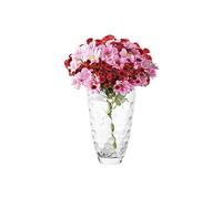 Avilia Vaso in Vetro Trasparente con Fantasia a Nido d'Api 30cm - Elegante e Moderno è Ideale per Ogni Ambiente Come Decorazione o per Riporre Fiori e Piante - Resistente e Facile da Pulire