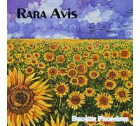 AVIS, RARA - BROKEN PROMISES