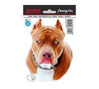 Avisa Pegatina AutoTattoo Pit Bull - 11x14,5cm