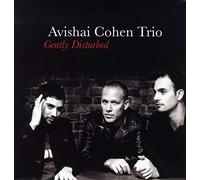 Cohen Avishai Trio – Gently Disturbed