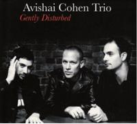 Avishai Cohen Trio Gently Disturbed (Vinyl LP) 12" Album