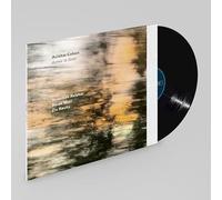 Avishai Cohen Ashes to Gold (Vinyl LP) 12" Album