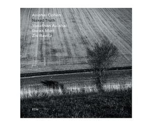 - Avishai Cohen, Yonathan Avishai, Ziv Ravitz, Barak Mori - Naked Truth (LP) - Vinile