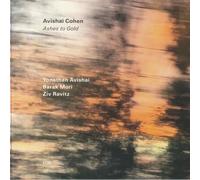 Avishai Cohen Ashes to Gold (Vinyl LP) 12" Album