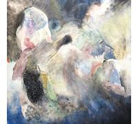 Avital Rolnick The Space Within (Vinyl LP) 12" Album
