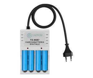 Avizar, Caricabatterie digitale AA e AAA a 4 canali Presa 220V AC 130mA, Grigio
