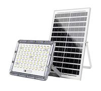 Avizar, Proiettore Solare LED Esterno 9000K con Rilevamento Automatico, Grigio