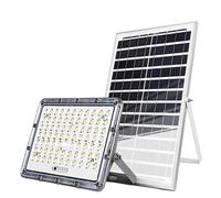 Avizar, Proiettore Solare LED Esterno 9000K con Rilevamento Automatico, Grigio