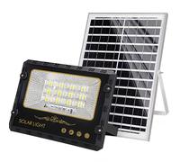 Avizar, Proiettore Solare LED Esterno 9000K con Rilevamento Automatico, Nero