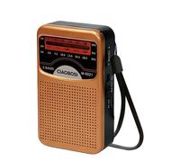 Avizar, Radio Portatile 3 Bande FM / AM / SW Alta Precisione e Compatta, Marrone