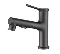 Avizar, Rubinetto per lavabo estensibile con funzione di risciacquo orale, Nero