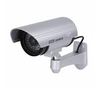 Avizar, Telecamera di dissuasione tipo tubo per interno/esterno con LED a vista