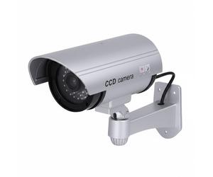 Avizar, Telecamera di dissuasione tipo tubo per interno/esterno con LED a vista
