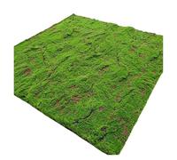 AVkgwrtb Tappetino in Erba Artificiale in Cotone di Seta e Perlato | Decorazione da giardino for esterni verde 1x1 m: tappetino da prato in erba artificiale for il balcone del patio(Style 15)