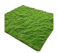 AVkgwrtb Tappetino in Erba Artificiale in Cotone di Seta e Perlato | Decorazione da giardino for esterni verde 1x1 m: tappetino da prato in erba artificiale for il balcone del patio(Style 14)
