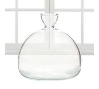 Avocado - Vaso per piante in vetro, con semi di avocado, per interni ed esterni