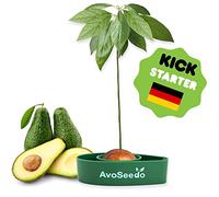 AvoSeedo Kit regalo da Giardinaggio per Avocado