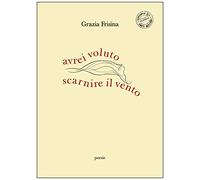 Avrei voluto scarnire il vento