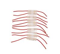 AVSBBYEPS 10pcs Filo Rosso Universale Guscio di plastica Trasparente Cablaggio in Linea 30 x 6mm portafusibili 10A