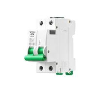 AVSBBYEPS Interruttore Automatico Serie LB5-63A Air Switch bipolare Tipo C a Doppio Ingresso e Doppia Uscita 2P(LB5-63a/32A-2P)