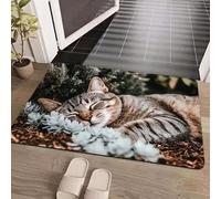 AVSMGP Tappetino con Illusione Ottica 3D A Forma di Gatto Tappeti Rettangolari in Misto Cotone Moderni Tappeti A Pelo Corto Lavorati A Maglia per Uso Interno/Esterno,C,1'8"x2'7"/50x80cm
