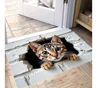 AVSMGP Tappeto Con Illusione Ottica 3D - Effetto "Buco Nel Pavimento" Zerbino Antiscivolo E Lavabile- Materiale Morbido E Spesso in Velluto Per Ingresso E Soggiorno,B,40×60CM/1'11" x 1'4"