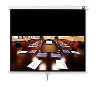 Avtek International Business 240 schermo per Proiezione 16:10