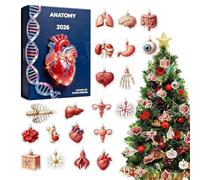 Avvento Natale Anatomia 2026 Calendario Countdown 24 Giorni Acrilico 2D | Pendenti Natalizi Per Albero Per Infermieri Studenti Insegnanti Casa Ufficio Scuola