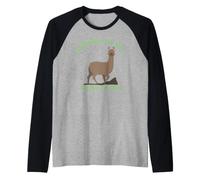 Avventura Che dici? Alpaca Le Mie Borse! Lama Alpaca Lovers Maglia con Maniche Raglan