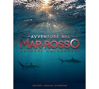 Avventure nel Mar Rosso: Brothers - Daedalus - Elphinstone