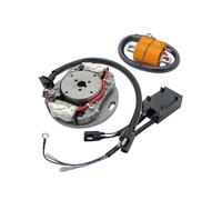 Avviamento Accensione Bobina Accensione Motocicletta Rotore Statore Magnete CDI Set Scatole Per Suzuki Per RM80 1996-2001 Per RM85 2002-2017 Per RM85L 2003-2020 Bobina D'accensione