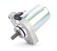 Avviamento Motore Per Dinli Per T-Rex 50 Motorino Avviamento | Per Helix 50 Per Sachs50 Per Quad Per E-Ton ATV Per Draco Per Tornado Motorino Di Avviamento DL-E070144 E070144-00 MA-E07