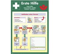 Avviso Manuale A Ersten Hilfe Per Unfällen 40x56cm Kunststoffplatte Bg